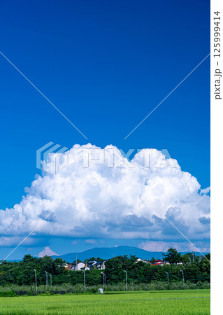 【夏素材】夏の田園風景と入道雲【長野県】 125999414
