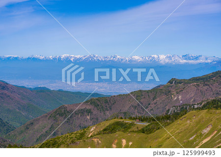 【山岳素材】初夏の志賀高原から眺める善光寺平方面【長野県】 125999493