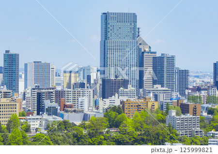 青葉城址より新緑の仙台市全景 125999821