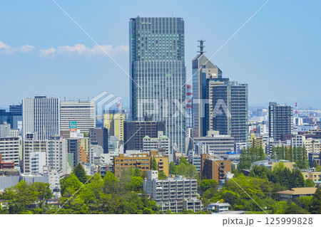 青葉城址より新緑の仙台市全景 125999828