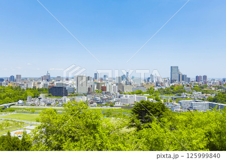 青葉城址より新緑の仙台市全景 青葉城址より新緑の仙台市全景 125999840