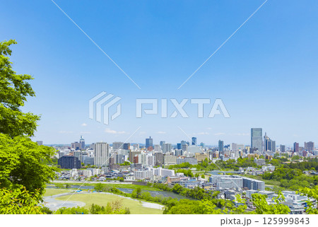 青葉城址より新緑の仙台市全景 125999843