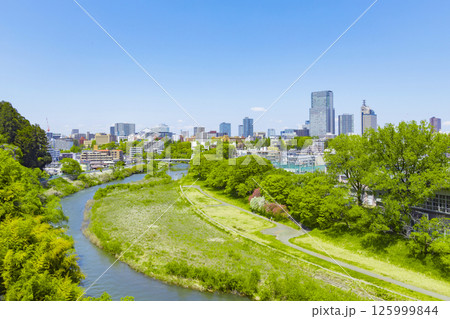 青葉城址より新緑の仙台市全景 青葉城址より新緑の仙台市全景 125999844