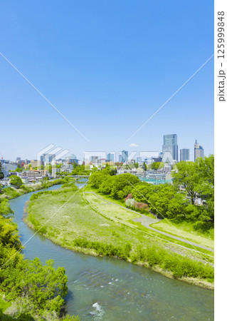 青葉城址より新緑の仙台市全景 125999848