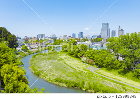 青葉城址より新緑の仙台市全景 青葉城址より新緑の仙台市全景 125999849
