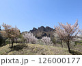妙義山の桜 126000177