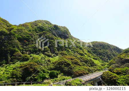 新緑に包まれた山を走る道 126000215