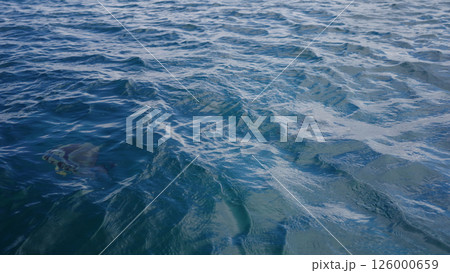 Side view from boat in Indian ocean sailing between Seychelles islands in daytime 126000659