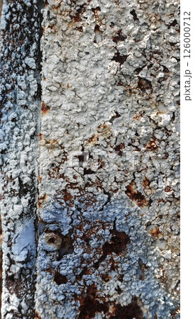 close up of surface is rough, with patches of blue and gray intermingled with darker rust areas, highlighting the natural processes of weathering and biological growth, with the photo being vertical close up of surface is rough, with patches of blue and gray intermingled with darker rust areas, highlighting the natural processes of weathering and biological growth, with the photo being vertical 126000712
