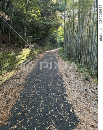 山の細道 126000943