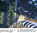 神社の守り神 126000952