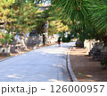 本殿へと続く道 126000957