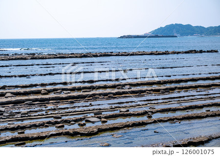【#宮崎】青島の鬼の洗濯板 126001075