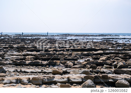 【#宮崎】青島の鬼の洗濯板 【#宮崎】青島の鬼の洗濯板 126001082