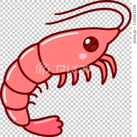 Cute cartoon shrimp drawing 126001206