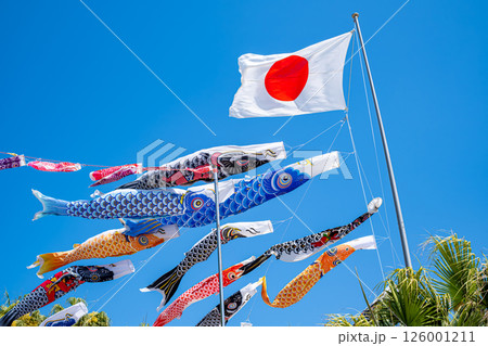 【#日本】日本国旗と鯉のぼり 【#日本】日本国旗と鯉のぼり 126001211