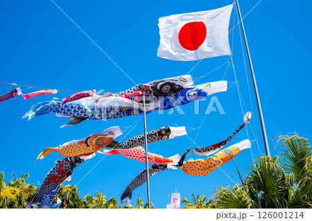 【#日本】日本国旗と鯉のぼり 【#日本】日本国旗と鯉のぼり 126001214