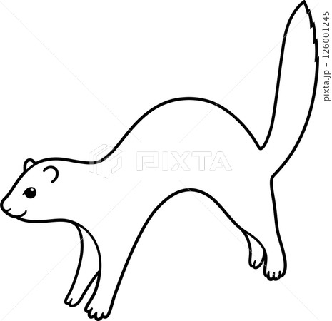 Funny jumping ferret drawing 126001245