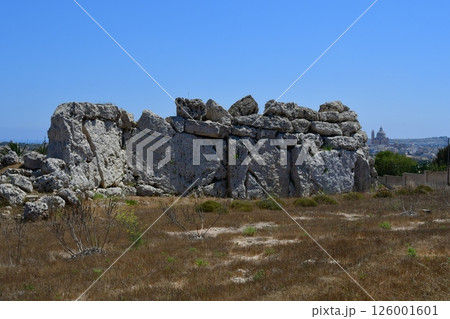 マルタ共和国、ゴゾ島、ジュガンティーヤ神殿、巨石神殿群 126001601