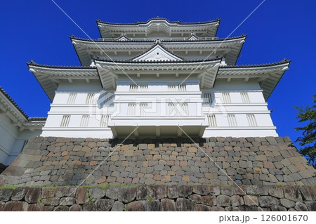 青空に映える小田原城 青空に映える小田原城 126001670