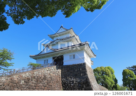 青空に映える小田原城 青空に映える小田原城 126001671
