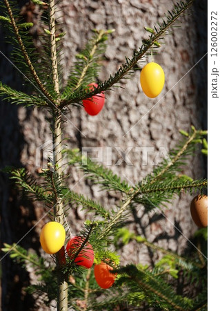 A tree with eggs hanging from its branches A tree with eggs hanging from its branches 126002272