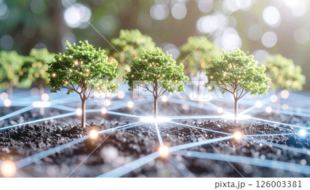 Close-up of young healthy green trees growing in dark soil connected by a digital network representing sustainable forestry and environmental technology innovation 126003381