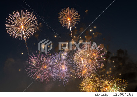 夏の夜空に打ち上がる華やかな花火の競演 夏の夜空に打ち上がる華やかな花火の競演 126004263
