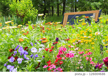 馬見丘陵公園　満開のネモフィラの丘と春の花々 126004686