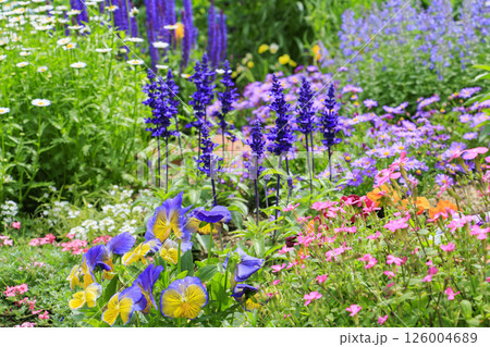 馬見丘陵公園　満開のネモフィラの丘と春の花々 126004689