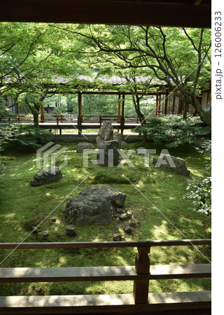 初夏の建仁寺　潮音庭(京都市東山区)　 126006233