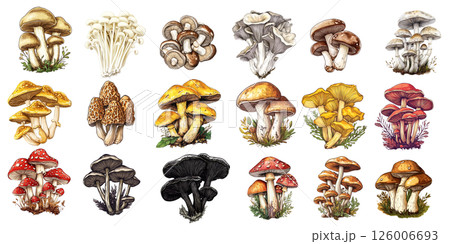 Set of colorful mushrooms growing on transparent background 126006693