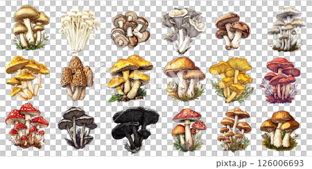 Set of colorful mushrooms growing on transparent background 126006693