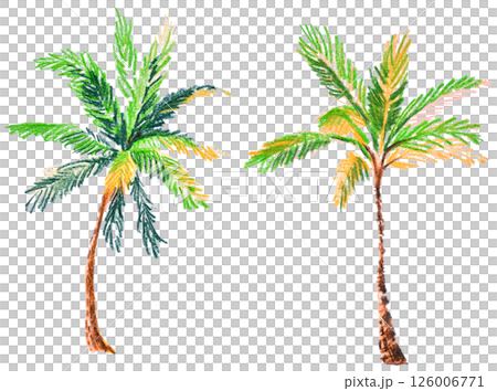 Hand-drawn colored pencils style tropical palm trees on white background Hand-drawn colored pencils style tropical palm trees on white background 126006771