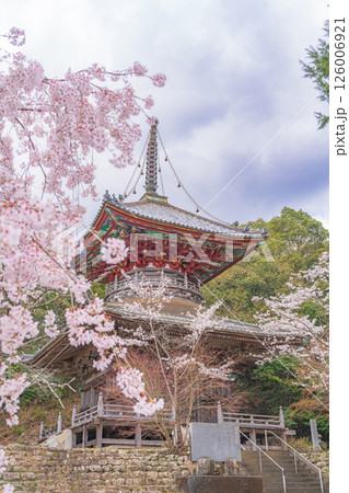 【第八番札所】熊谷寺 桜と多宝塔【四国八十八箇所】 【第八番札所】熊谷寺 桜と多宝塔【四国八十八箇所】 126006921