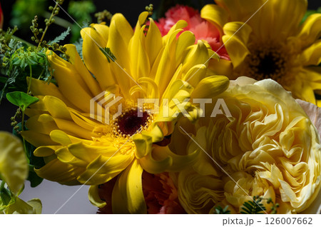 光を浴びる花束 光を浴びる花束 126007662