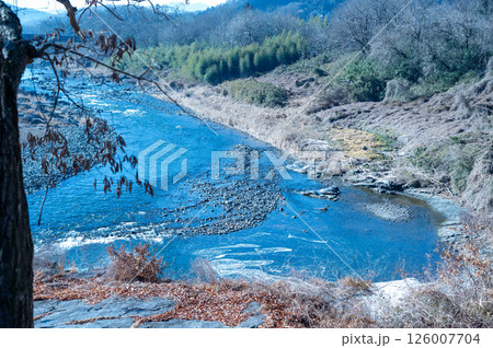 冬の枯れ木と川 冬の枯れ木と川 126007704