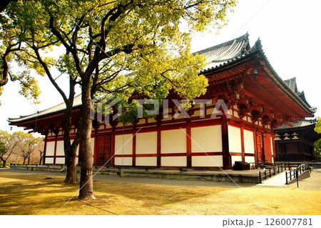 京都府 東寺・講堂(重要文化財) 京都市 南区 九条町 2022年2月 京都府 東寺・講堂(重要文化財) 京都市 南区 九条町 2022年2月 126007781