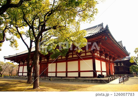 京都府 東寺・講堂(重要文化財) 京都市 南区 九条町 2022年2月 京都府 東寺・講堂(重要文化財) 京都市 南区 九条町 2022年2月 126007783