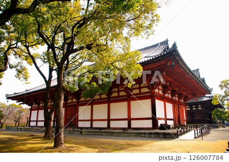 京都府　東寺・講堂（重要文化財） 京都市 南区 九条町　2022年2月 126007784
