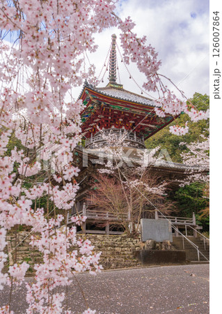 【第八番札所】熊谷寺 桜と多宝塔【四国八十八箇所】 【第八番札所】熊谷寺 桜と多宝塔【四国八十八箇所】 126007864