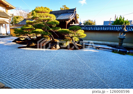 京都府　東寺 観智院・涅槃禄の庭「長者の庭」枯山水 京都市 南区 九条町　2022年2月 126008596