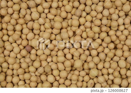 Dry soybeans Dry soybeans 126008627