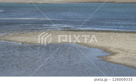 砂浜に打ち寄せる波 126009333