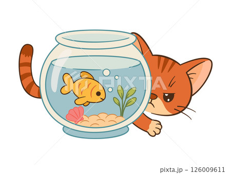 Cute ginger tabby cat playing with goldfish inside the aquarium. Cute ginger tabby cat playing with goldfish inside the aquarium. 126009611
