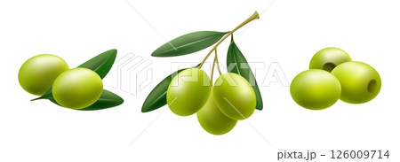 Realistic green olive leaves Realistic green olive leaves 126009714