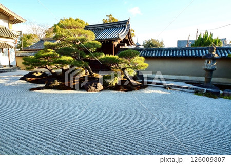 京都府　東寺 観智院・涅槃禄の庭「長者の庭」枯山水 京都市 南区 九条町　2022年2月 126009807