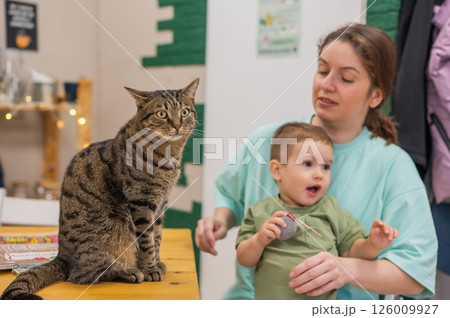 Caucasian woman with her son in a cat cafe. Caucasian woman with her son in a cat cafe. 126009927