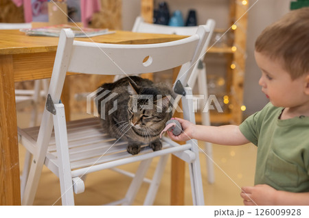 Caucasian little boy in a cat cafe. Caucasian little boy in a cat cafe. 126009928