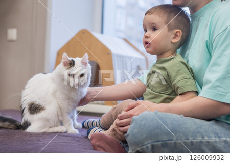 Caucasian little boy with mother in cat cafe.  126009932